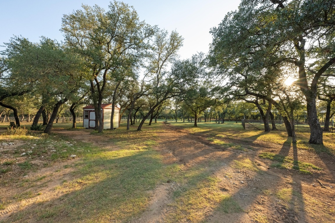 5200 Bell Springs Road Dripping Springs, TX 78620 - Photo 6 of 36 a view of a yard with trees