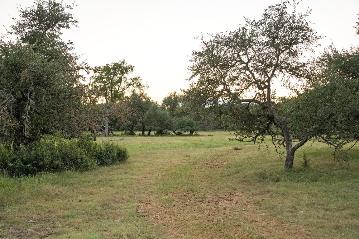 5200 Bell Springs Road Dripping Springs, TX 78620 - Photo 7 of 36 a view of a field with trees in the background