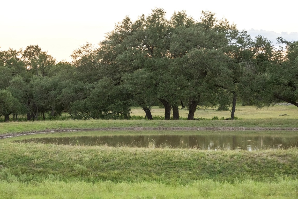 5200 Bell Springs Road Dripping Springs, TX 78620 - Photo 9 of 36 a view of a lake view with a large trees
