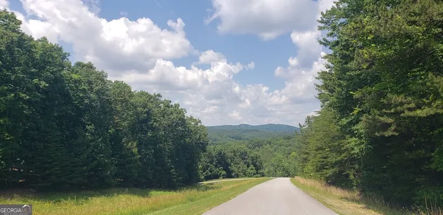 a view of a lake in middle of forest