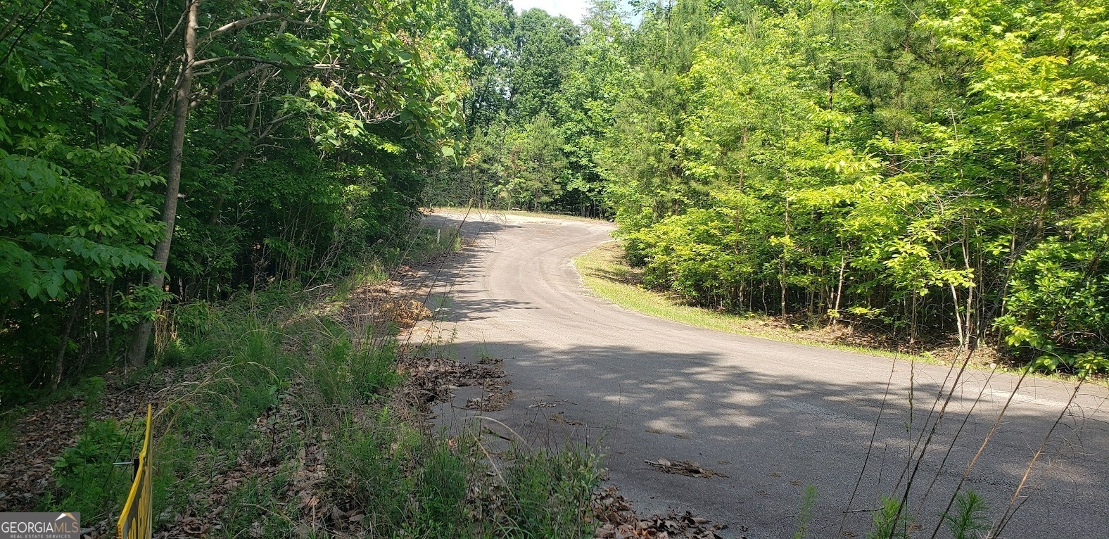 0 Planters Pointe Lane Baldwin, GA 30511 - Photo 3 of 4 a view of a yard with plants and large trees
