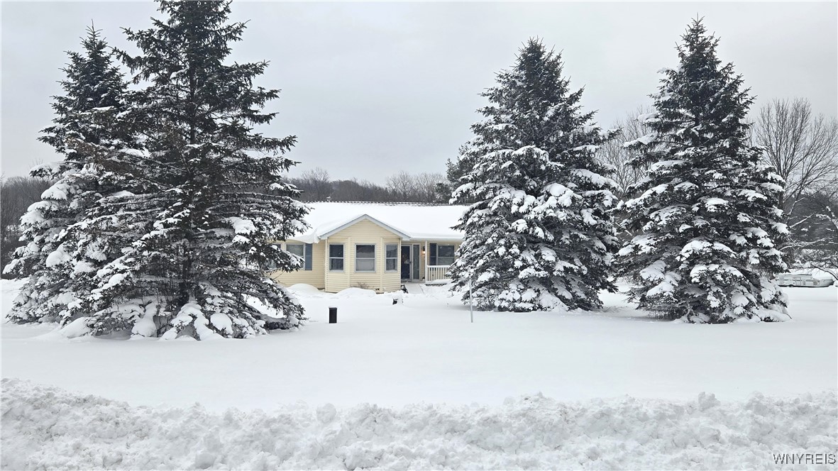 2260 Grover Road West Falls, NY 14170 - Photo 2 of 7 Road View nestled in the pines