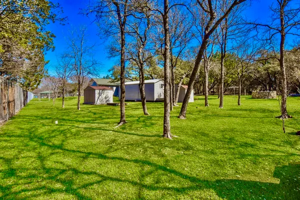 a view of backyard with wooden fence and a large tree