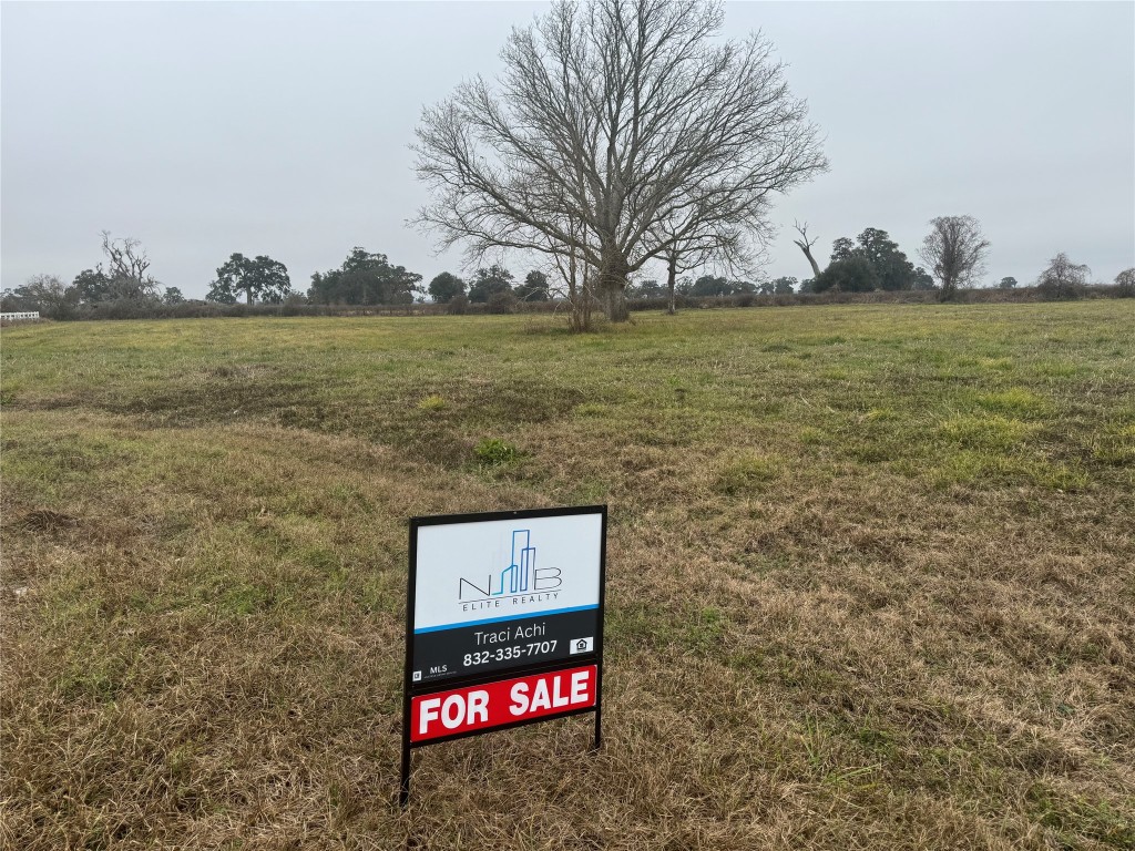 17218 Lucky Horse Drive Rosharon, TX 77583 - Photo 3 of 12 a sign board with lawn chairs