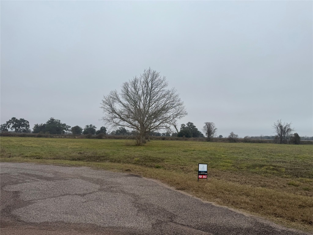 17218 Lucky Horse Drive Rosharon, TX 77583 - Photo 4 of 12 a view of a field with an ocean