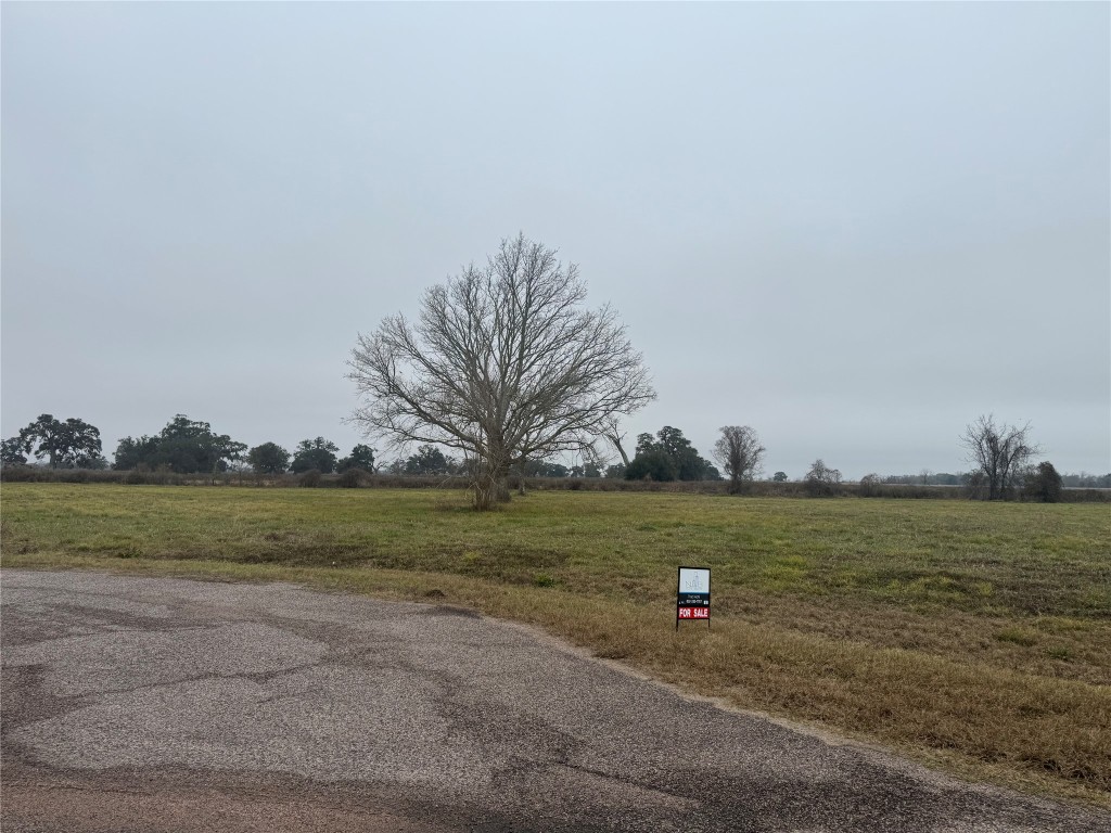 17218 Lucky Horse Drive Rosharon, TX 77583 - Photo 5 of 12 a view of a field and an ocean