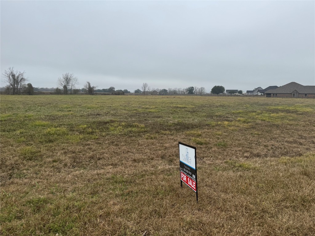 17218 Lucky Horse Drive Rosharon, TX 77583 - Photo 6 of 12 a view of a city and an ocean