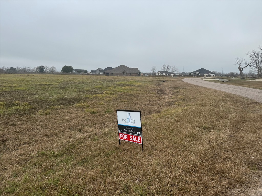 17218 Lucky Horse Drive Rosharon, TX 77583 - Photo 7 of 12 a view of an ocean