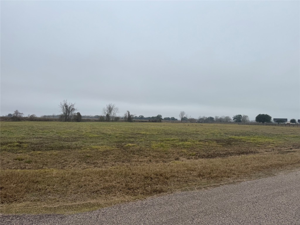 17218 Lucky Horse Drive Rosharon, TX 77583 - Photo 8 of 12 a view of an ocean
