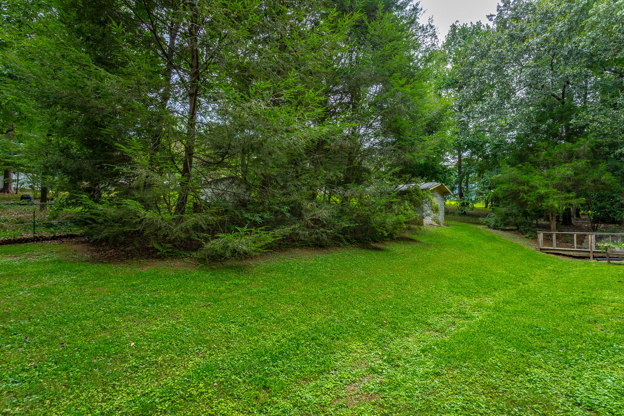 6109 Pythian Road Harrison, TN 37341 - Photo 50 of 56 6109 Pythian Road HD-16