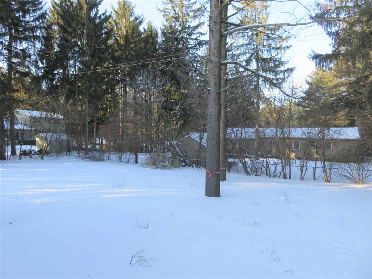 12328 South Beardslee Road Perry, MI 48872 - Photo 19 of 22 31311839-18.JPG