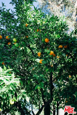 $7,988 | 13239 Addison Street, Sherman Oaks, CA 91423