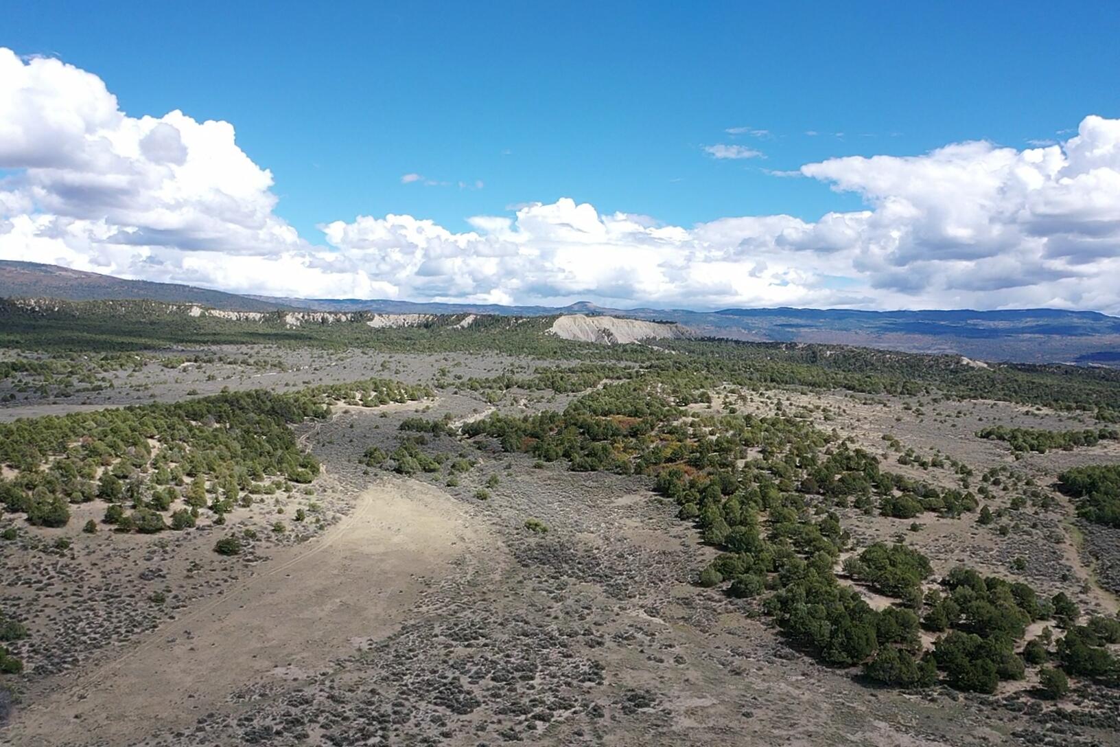 South And Ranch West Cebolla, NM 87518 - Photo 13 of 42 Gallery Image 13