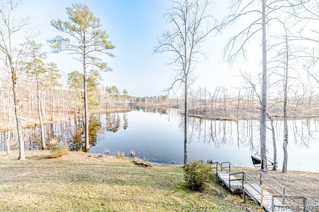 161 White Oak Street Carthage, NC 28327 - Photo 26 of 29 a lake view with boat and palm trees