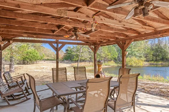 a view of a forest with trees