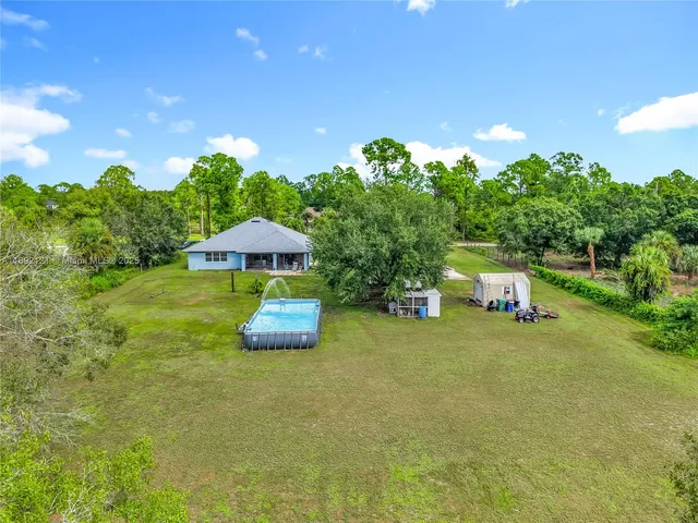 a view of a yard with plants and large trees