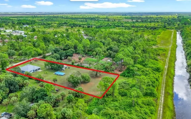 a view of a big yard with potted plants and large trees