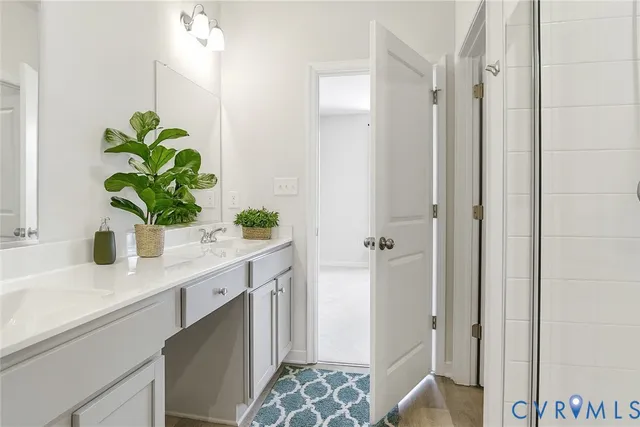 a sink with a potted plant