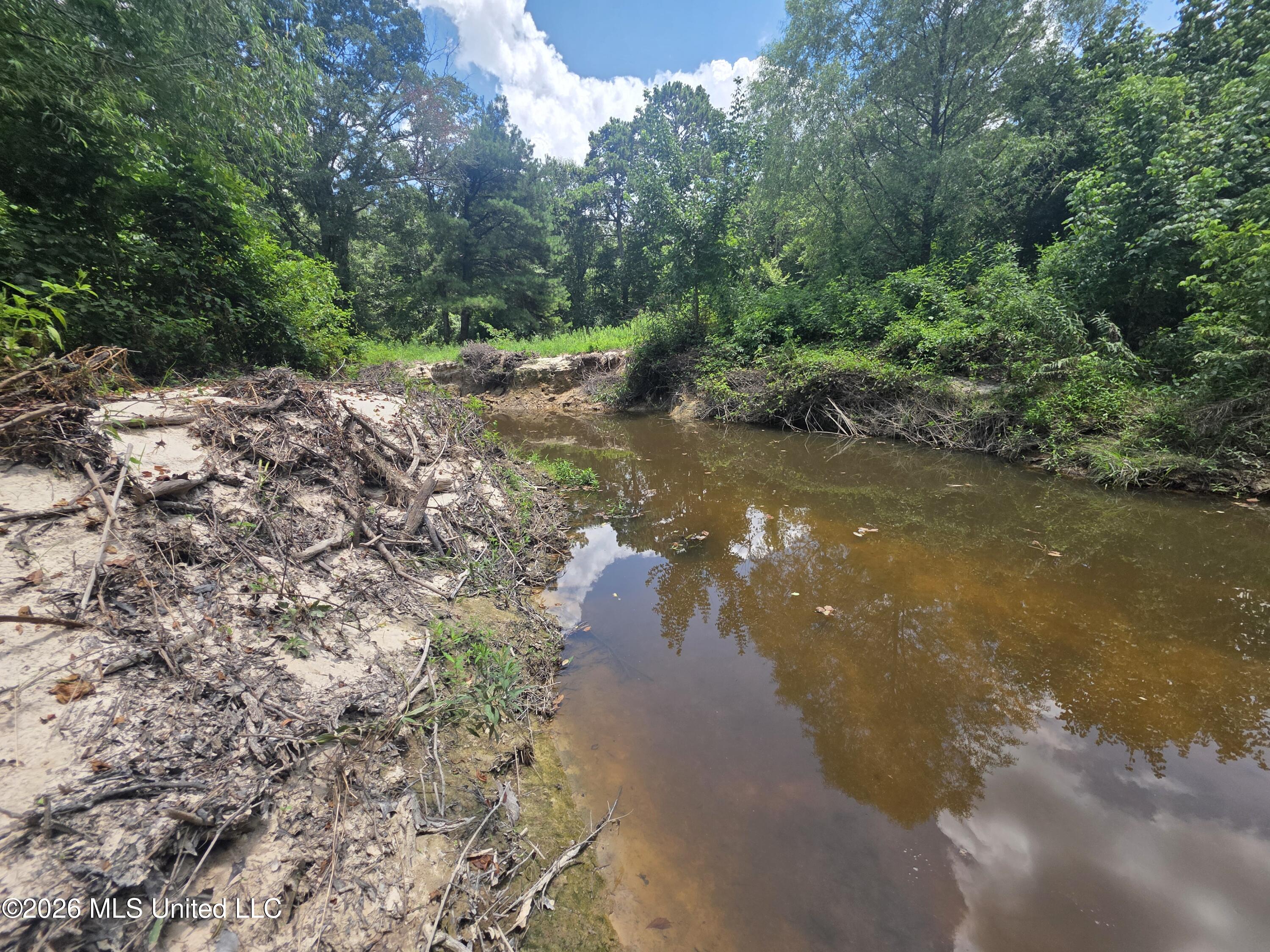 538 East Scrd Morton, MS 39117 - Photo 8 of 30 37174