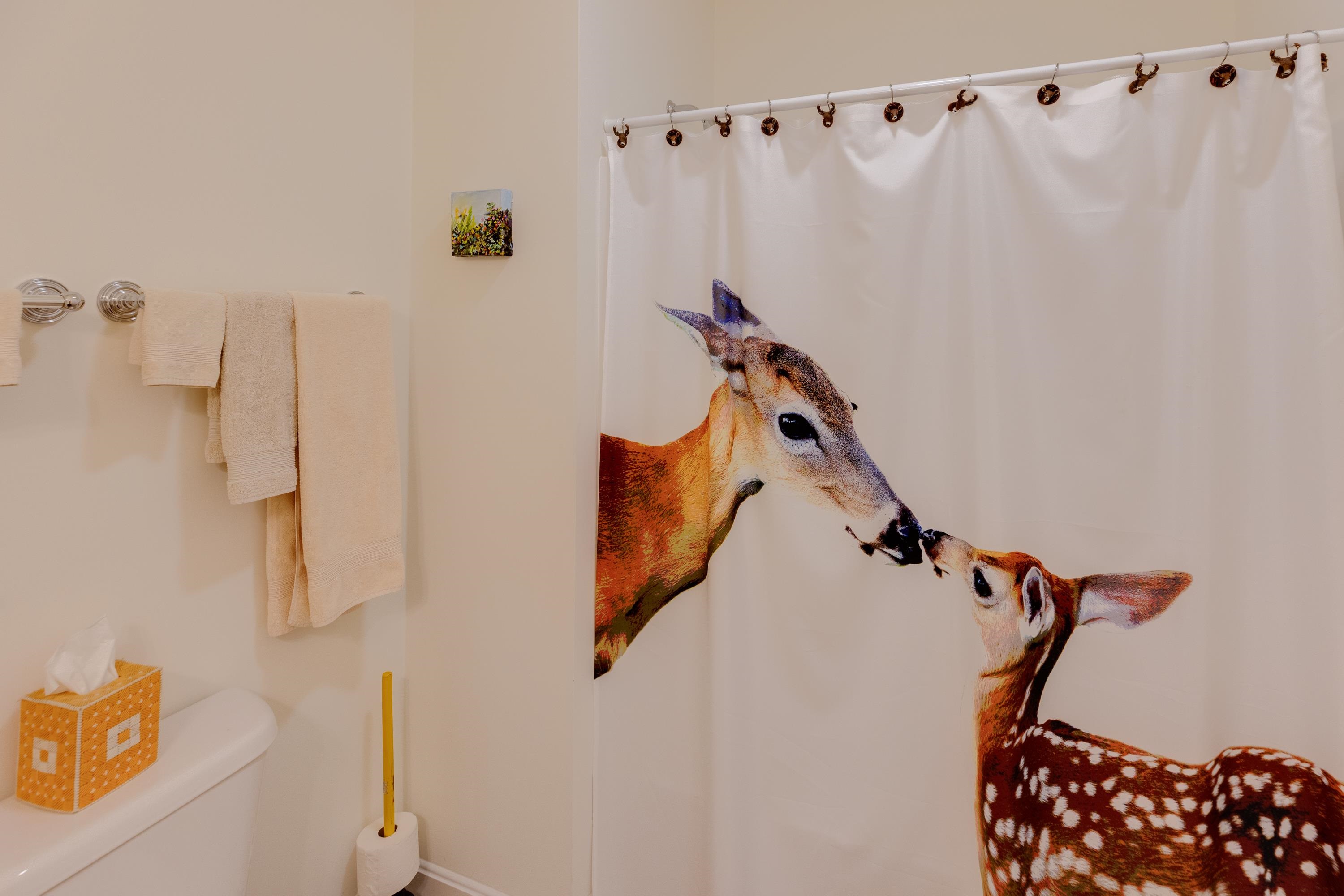 11 Sebec Road Holderness, NH 03245 - Photo 22 of 42