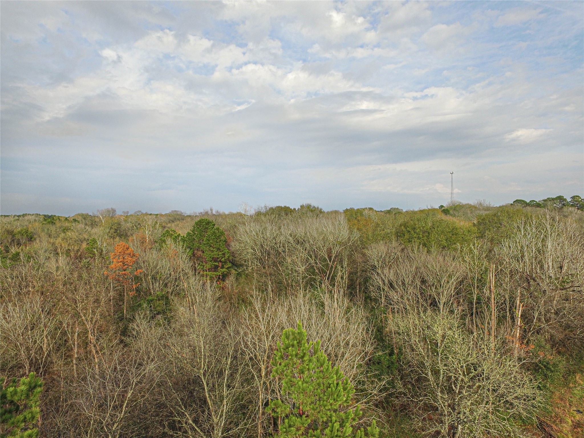 Tbd West 2nd Street Corrigan, TX 75939 - Photo 13 of 31 a view of mountain with lake view