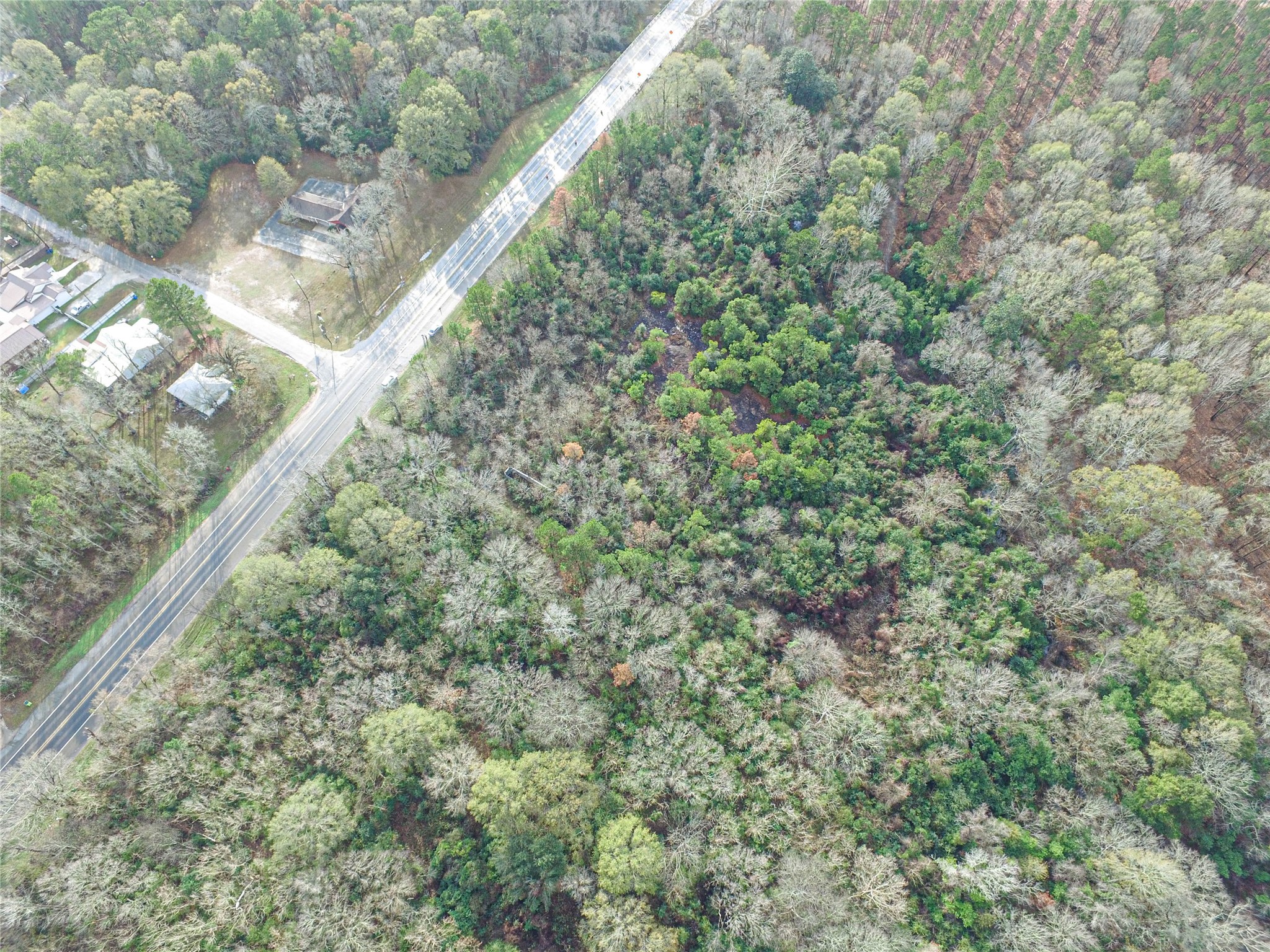 Tbd West 2nd Street Corrigan, TX 75939 - Photo 19 of 31 a view of a yard with a tree