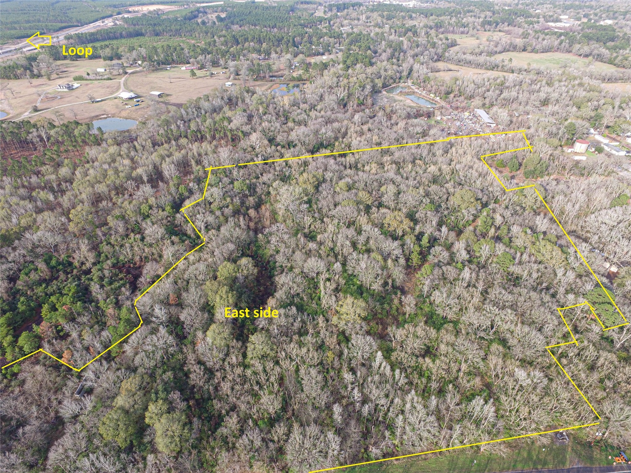 Tbd West 2nd Street Corrigan, TX 75939 - Photo 2 of 31 a view of a yard with a tree