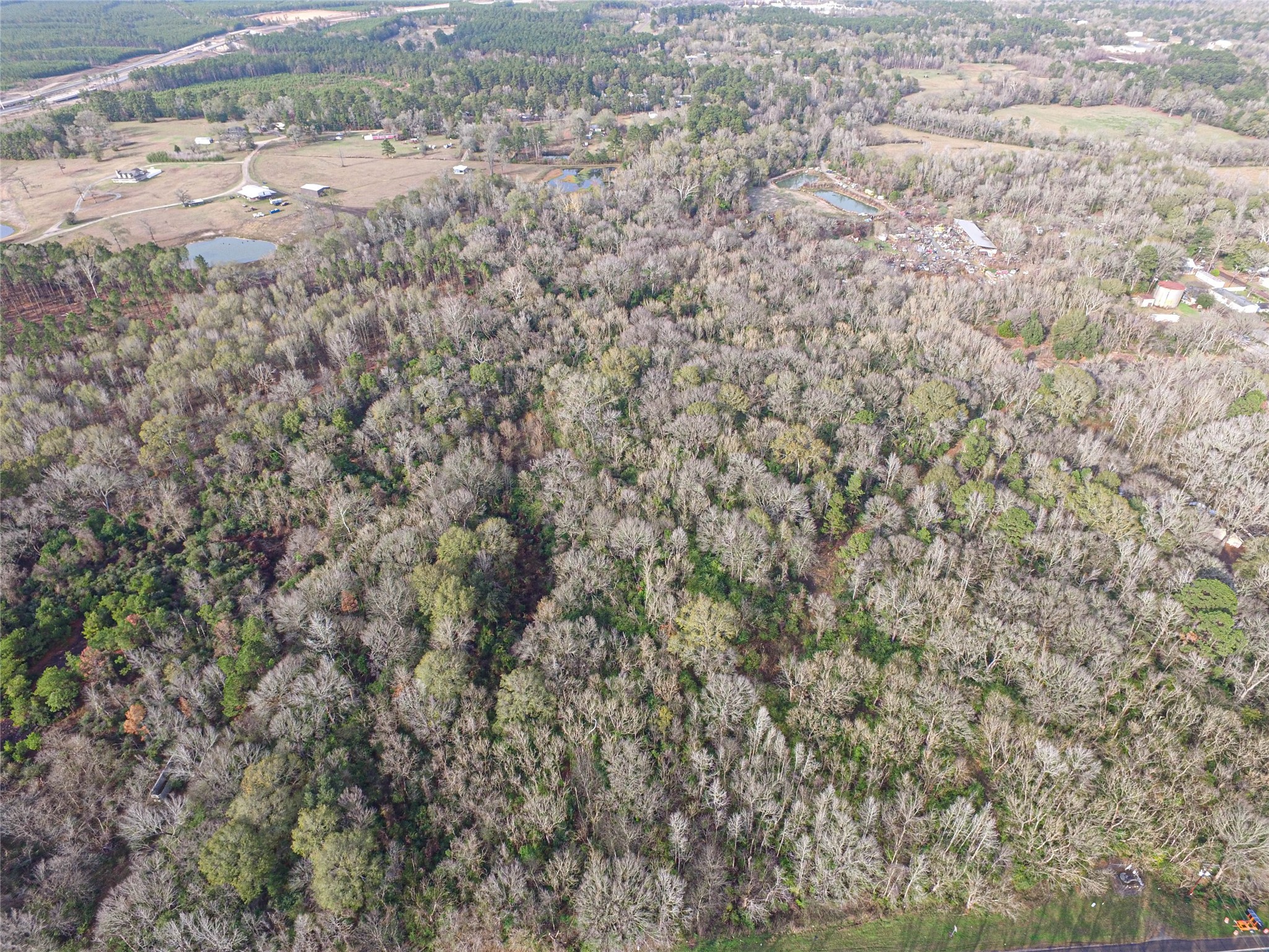 Tbd West 2nd Street Corrigan, TX 75939 - Photo 25 of 31 a close up of a plant in a yard