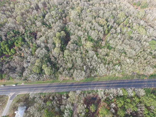 a view of a forest from a window