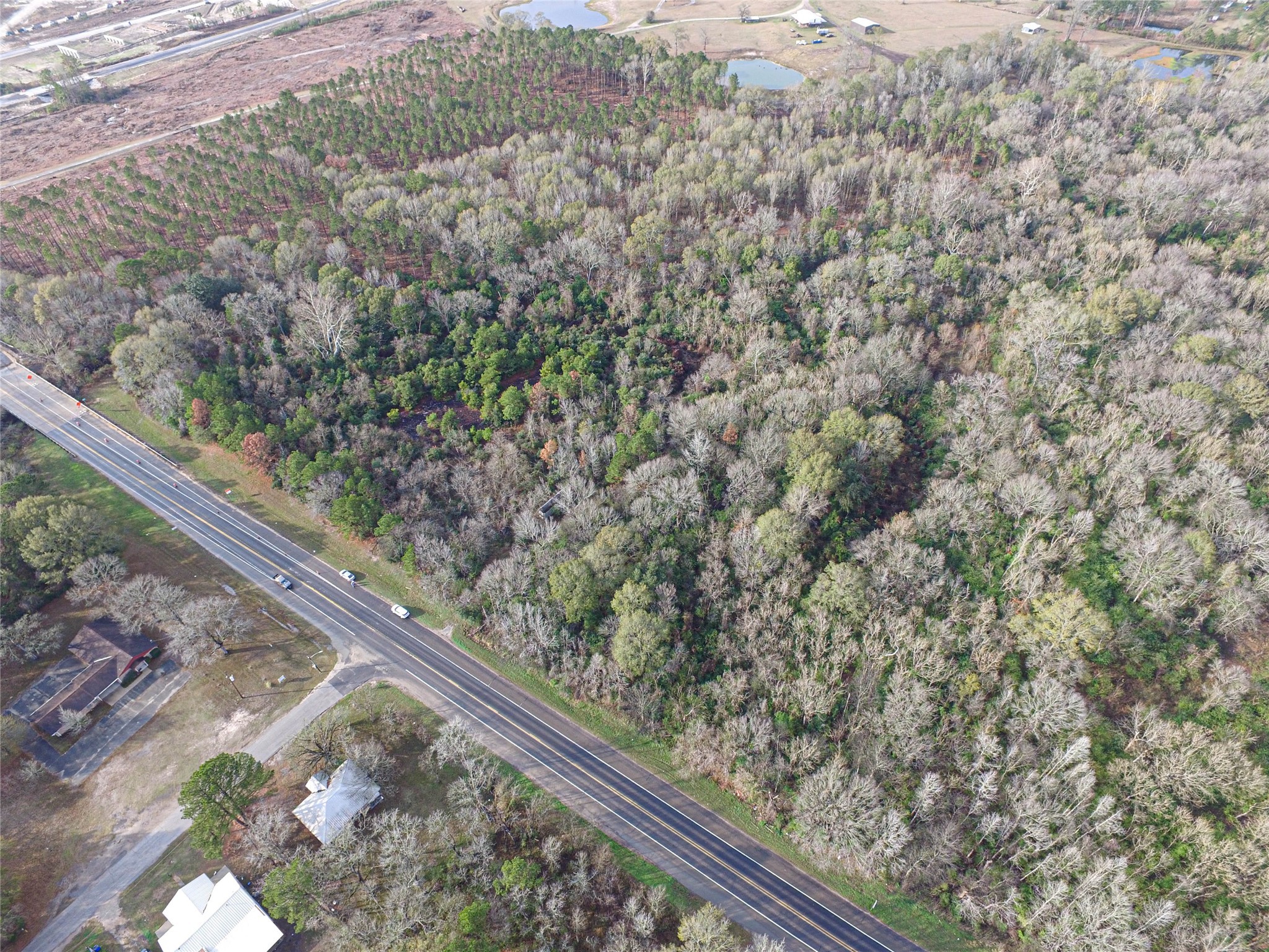 Tbd West 2nd Street Corrigan, TX 75939 - Photo 27 of 31 a view of a forest from a window