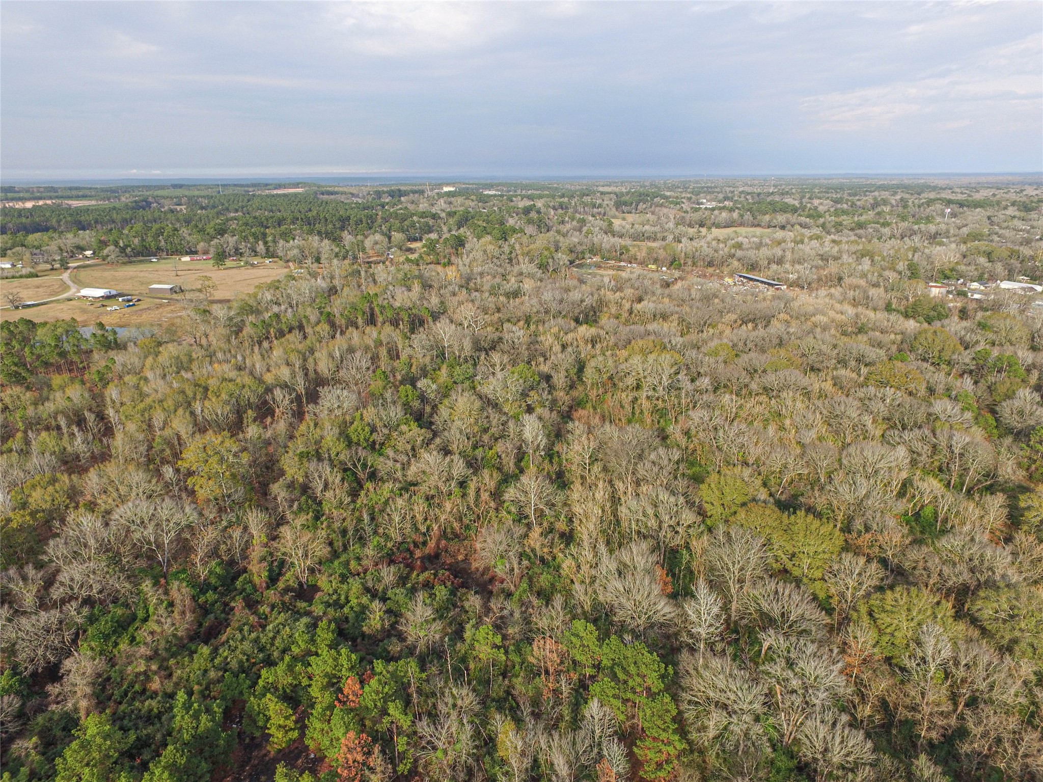 Tbd West 2nd Street Corrigan, TX 75939 - Photo 31 of 31 a view of an ocean