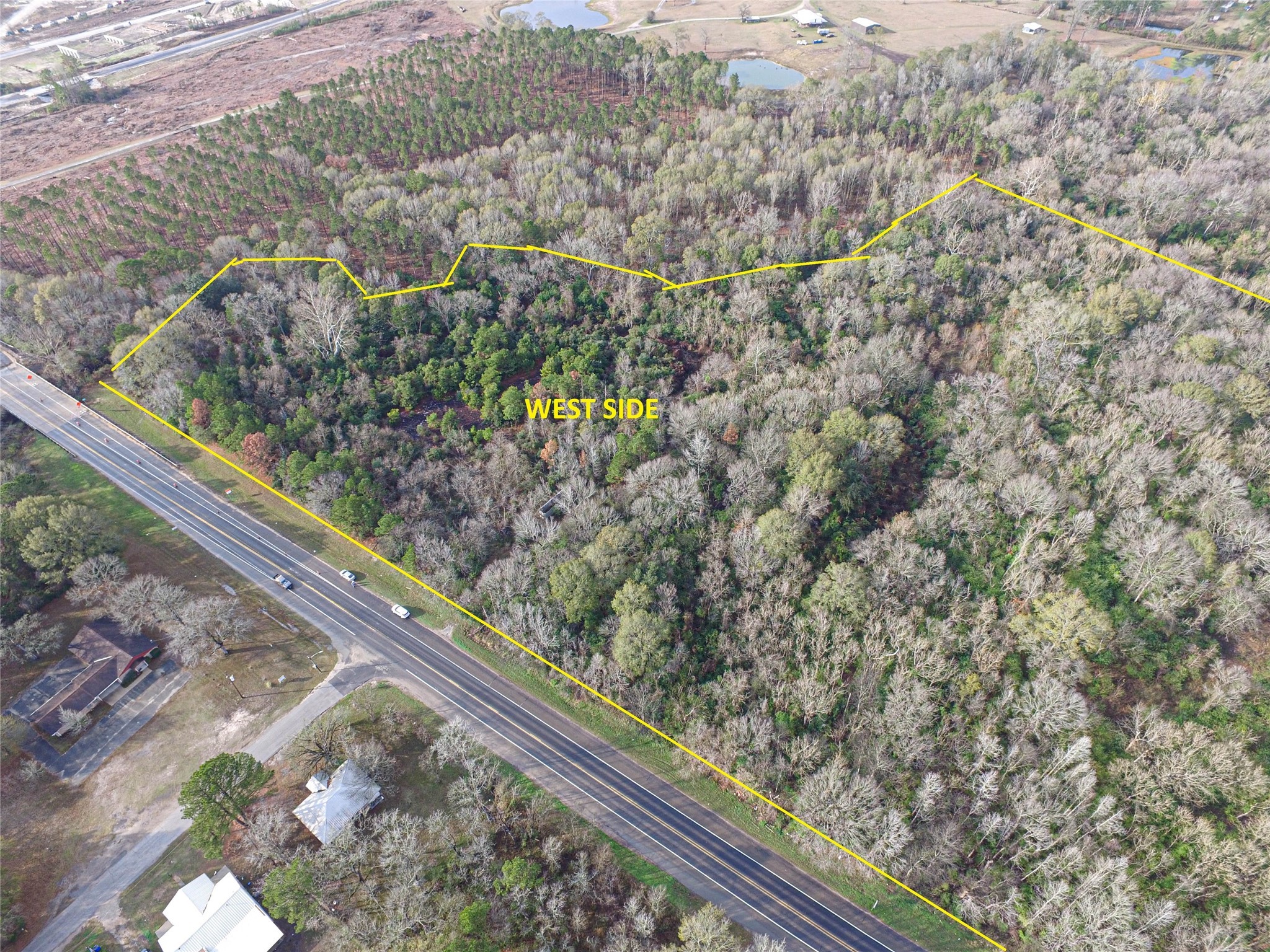 Tbd West 2nd Street Corrigan, TX 75939 - Photo 4 of 31 a view of a forest from a balcony