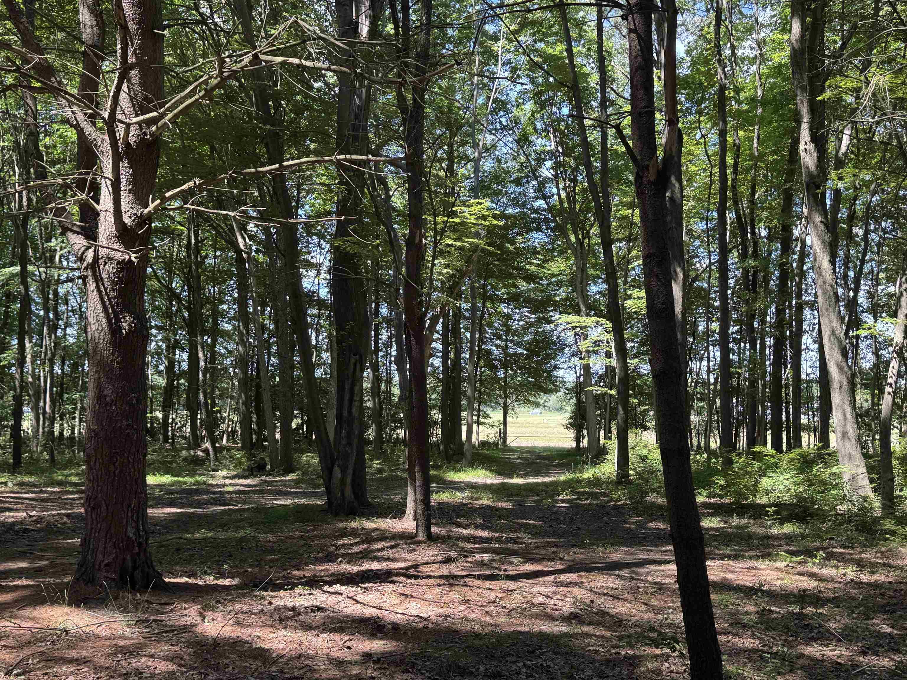 South Fenmore Road Merrill, MI 48637 - Photo 28 of 31