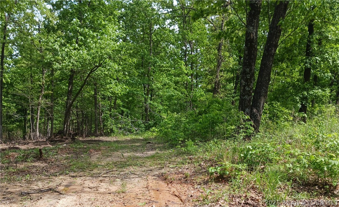 Tbd Possum Trot Road Stover, MO 65078 - Photo 3 of 10 Gallery Image 3