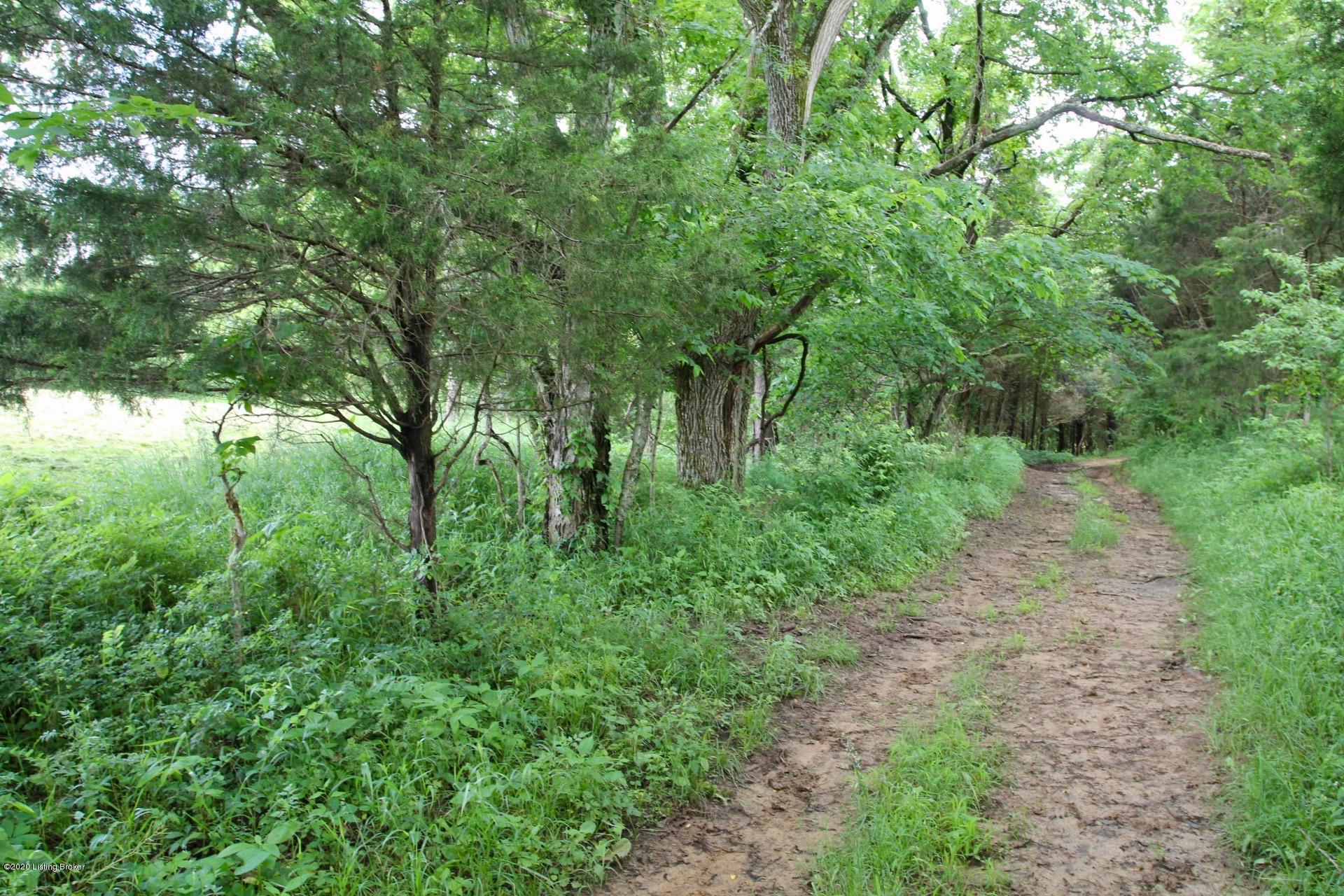 0 Morton Ridge Road Bedford, KY 40006 - Photo 22 of 48 Morton Ridge Farm