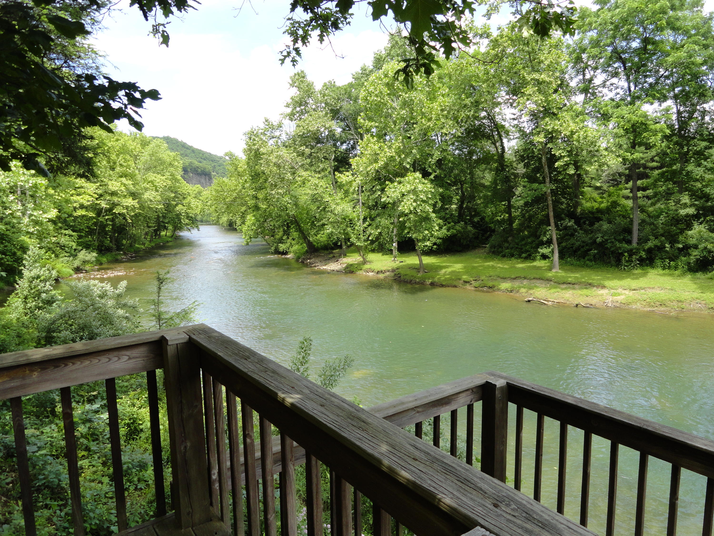 225 River Road North Covington, VA 24426 - Photo 9 of 17 DSC01458