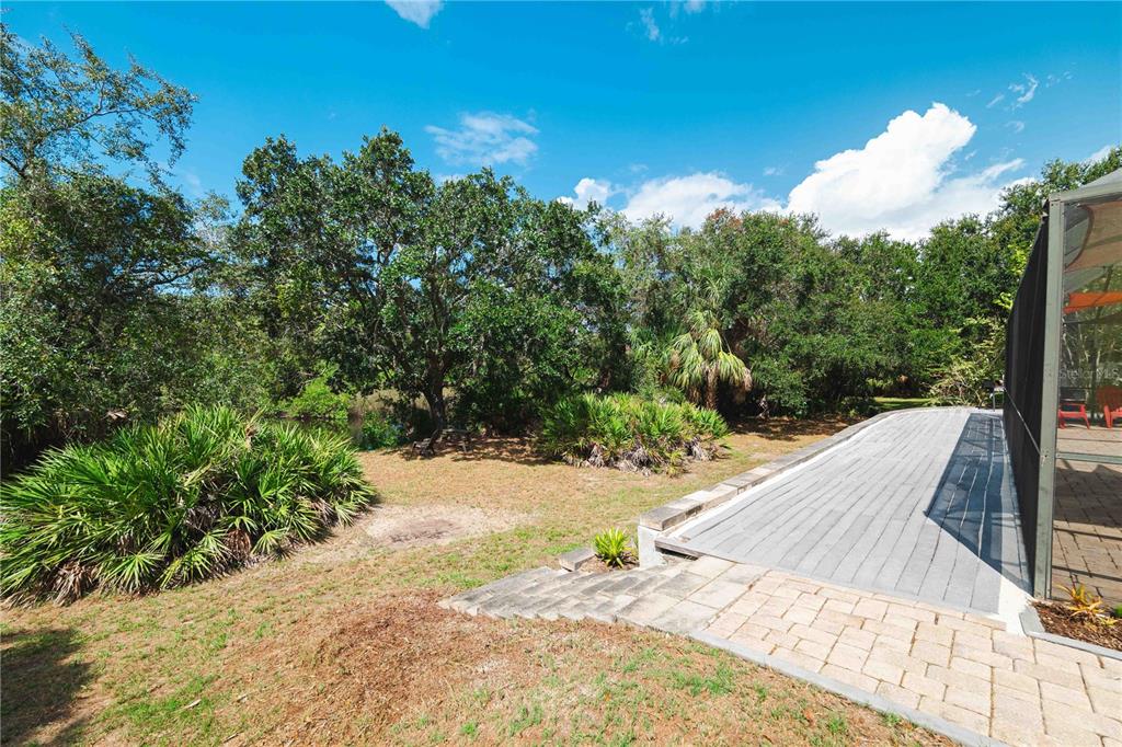 9020 North River Road Tampa, FL 33635 - Photo 52 of 86 a view of a backyard of the house