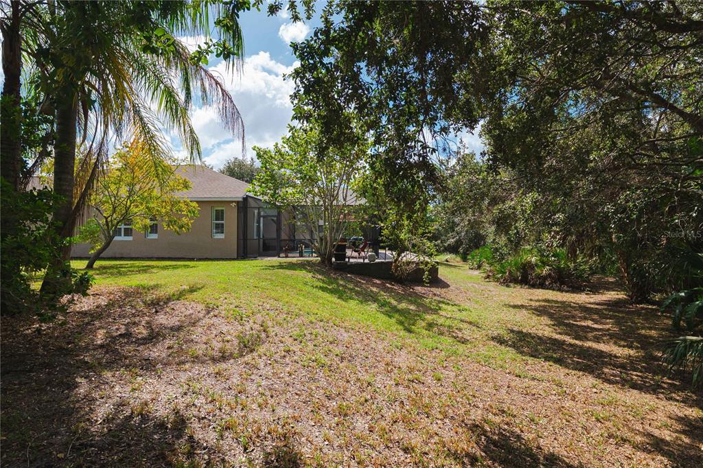 9020 North River Road Tampa, FL 33635 - Photo 57 of 86 a view of a yard with plants