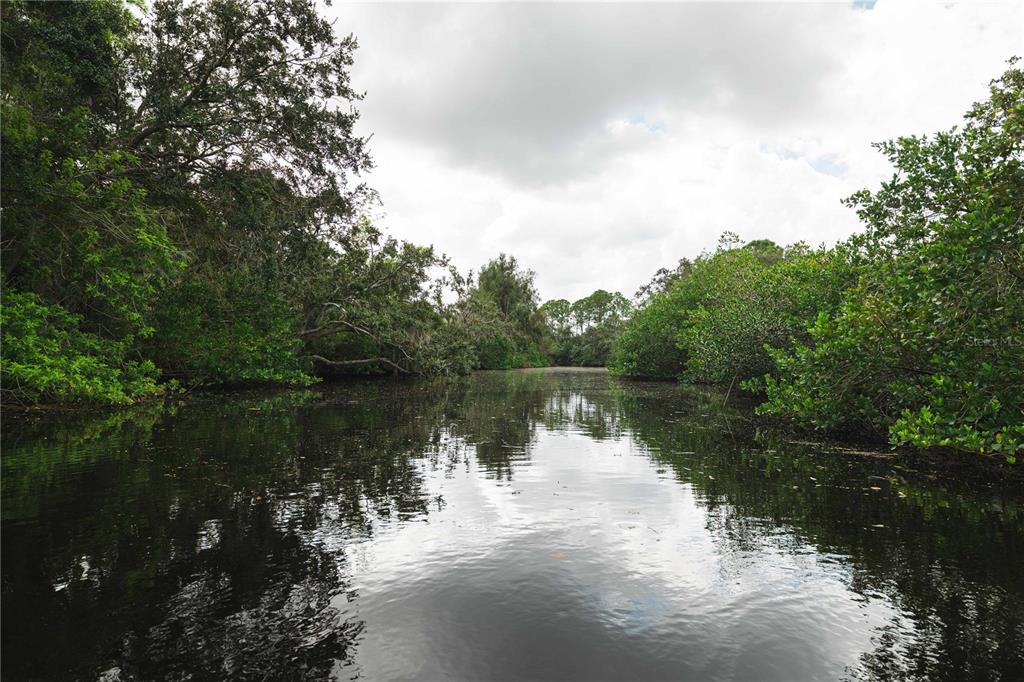9020 North River Road Tampa, FL 33635 - Photo 61 of 86 a body of water with a tree in the background