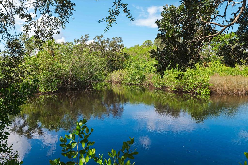 9020 North River Road Tampa, FL 33635 - Photo 63 of 86 a view of a lake with a house in the background