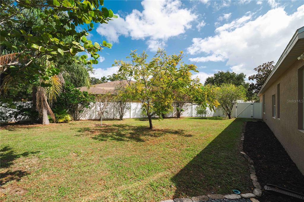 9020 North River Road Tampa, FL 33635 - Photo 66 of 86 a backyard of a house with lots of green space