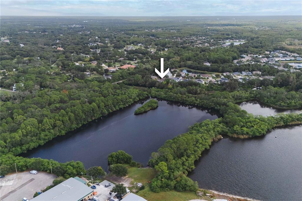 9020 North River Road Tampa, FL 33635 - Photo 76 of 86 an aerial view of a house with a yard and lake view in back