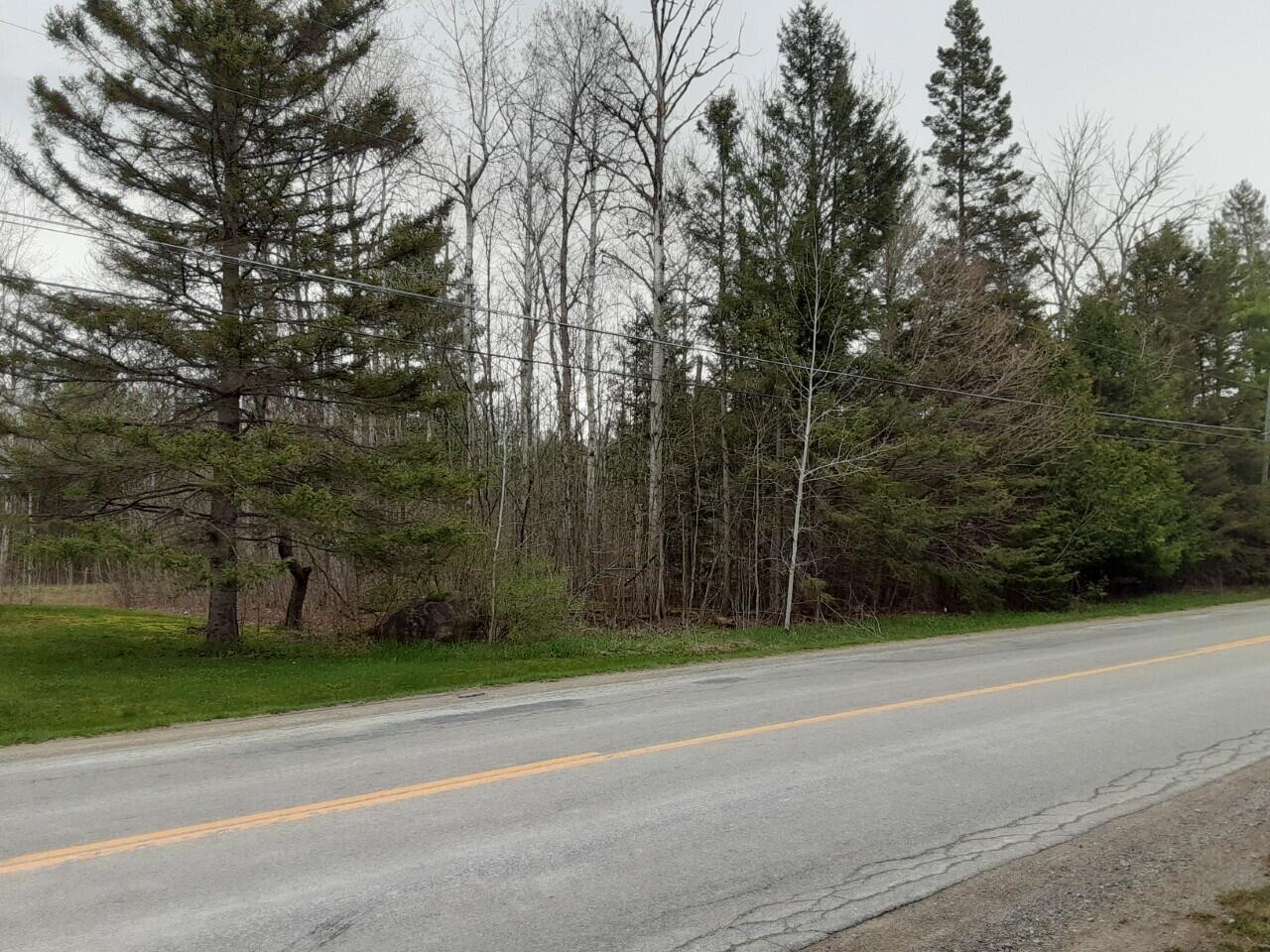 Truckey Road Alpena, MI 49707 - Photo 3 of 3 Gallery Image 3