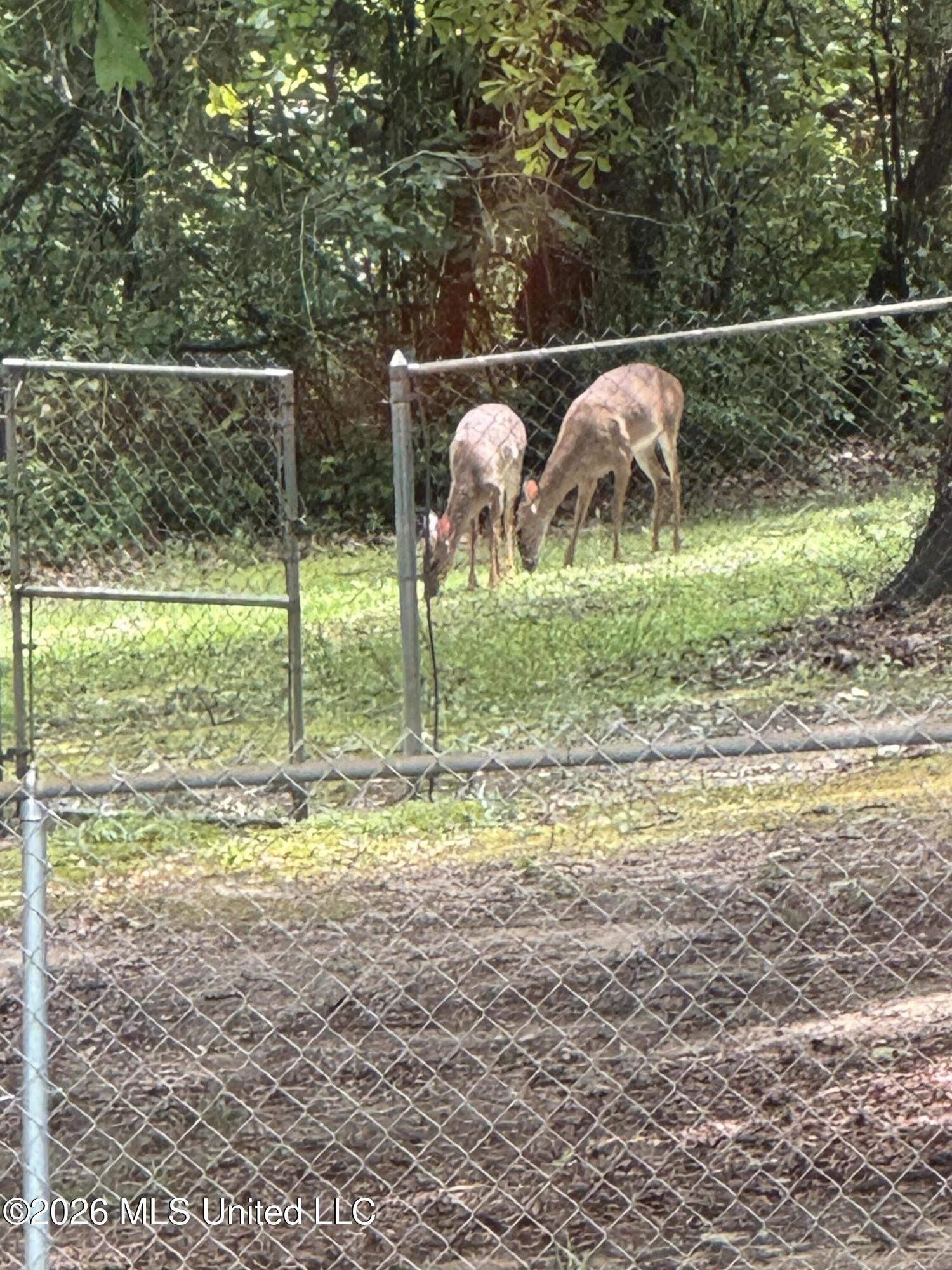 13716 Old River Road Vancleave, MS 39565 - Photo 36 of 51 IMG_7495