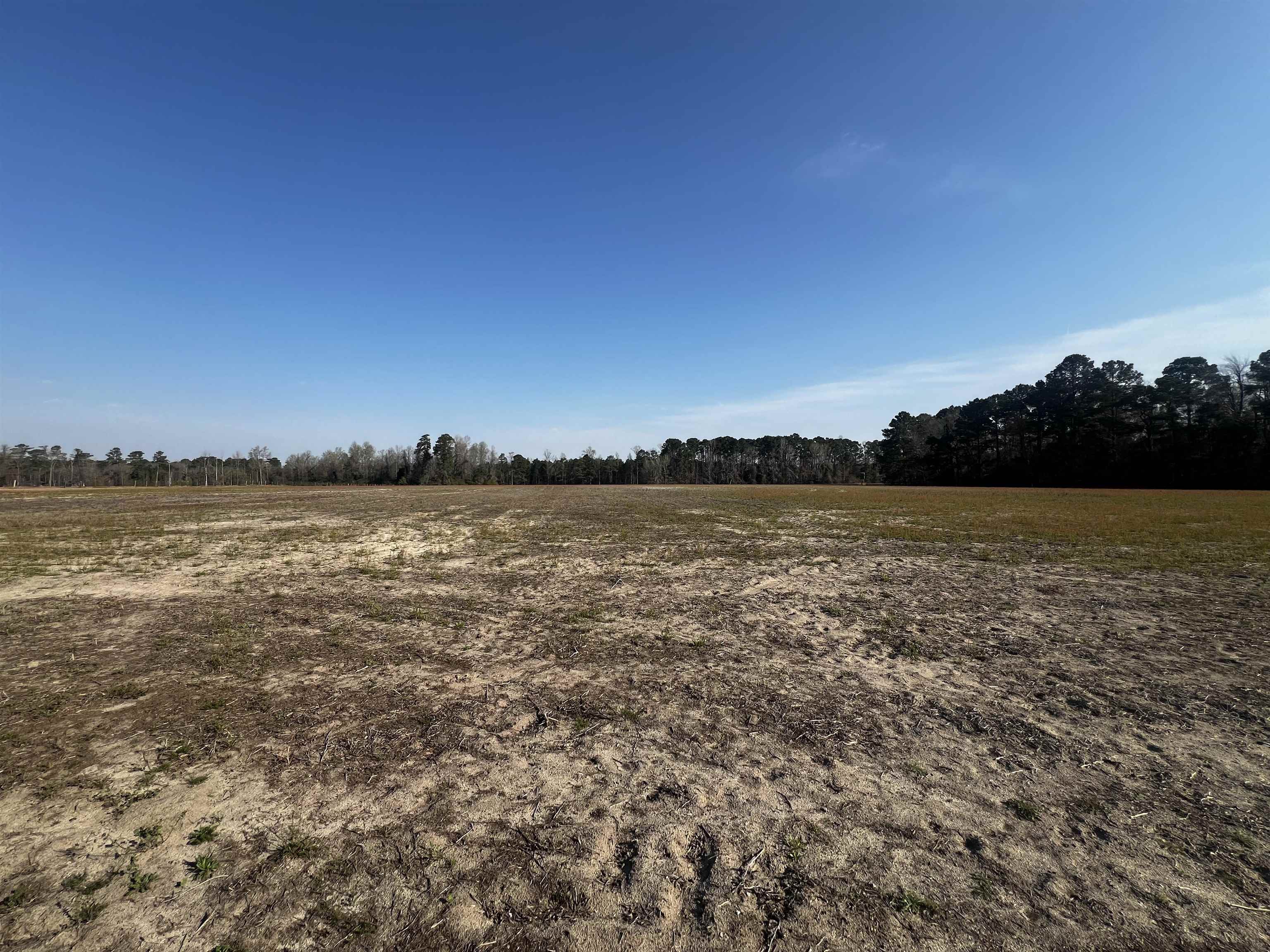 1901 Grainger Road Aynor, SC 29511 - Photo 6 of 6