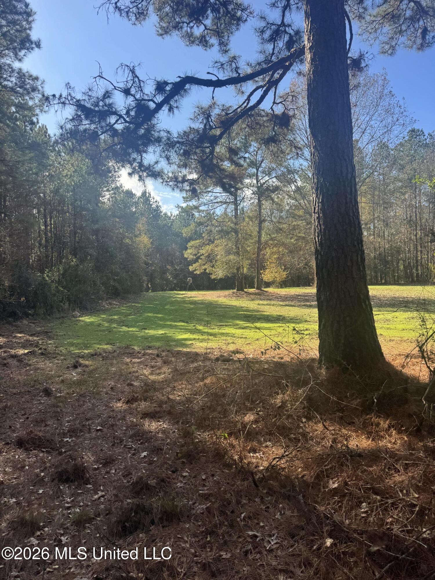 Mckenzie Road Tylertown, MS 39667 - Photo 38 of 50 38