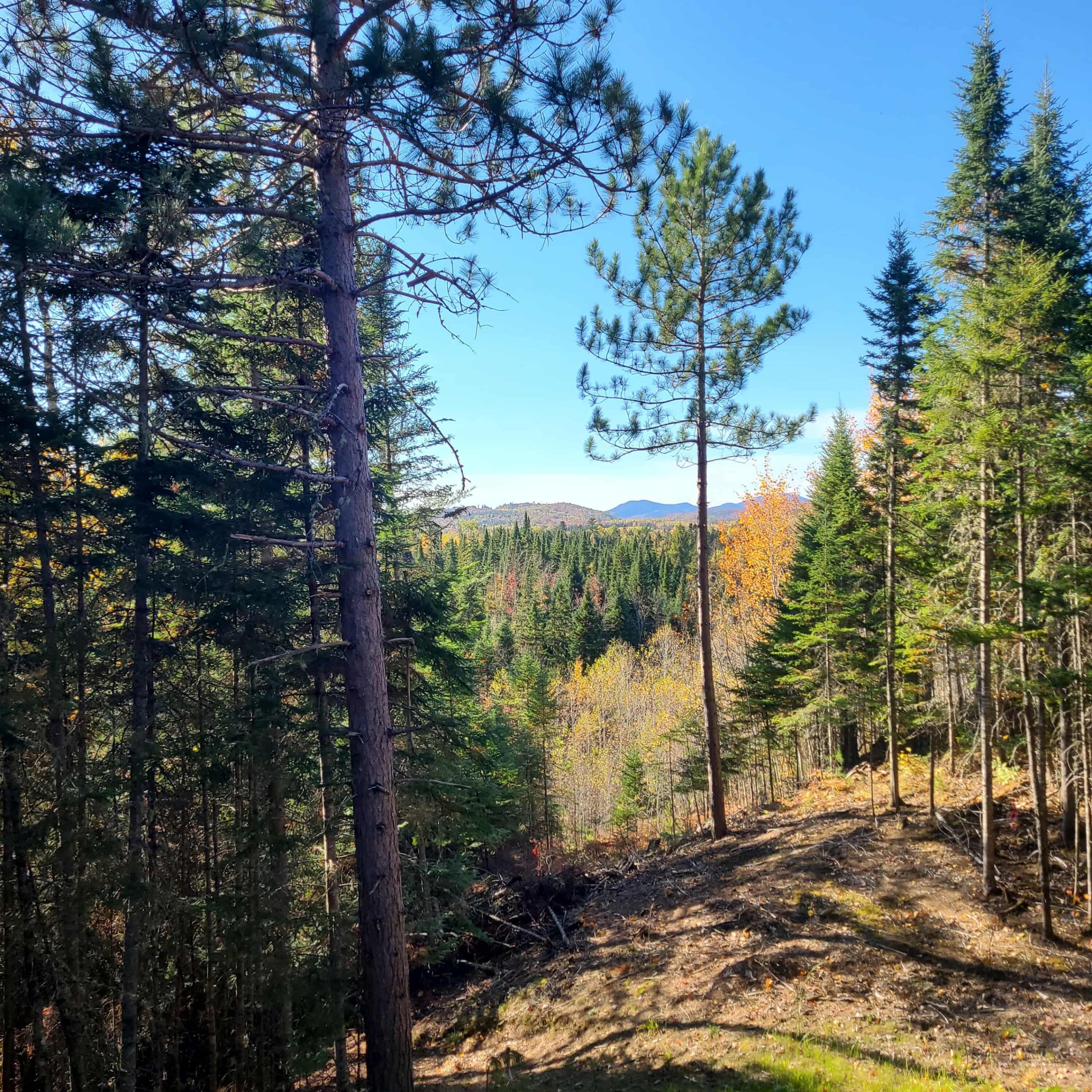 22 Skytop Road Eustis, ME 04936 - Photo 7 of 23 f5cd4aea-06f2-473c-b126-7a9f103df2d3