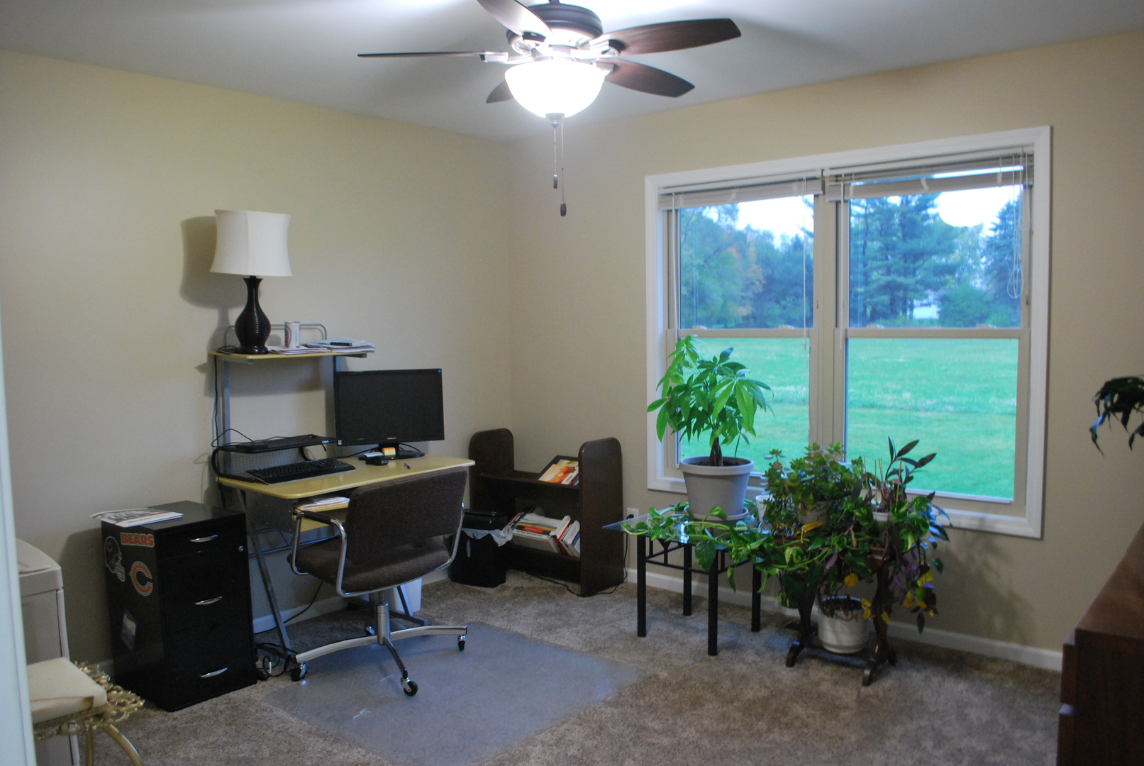 1091 Page Way Rochelle, IL 61068 - Photo 20 of 25 a view of a workspace with furniture and a window