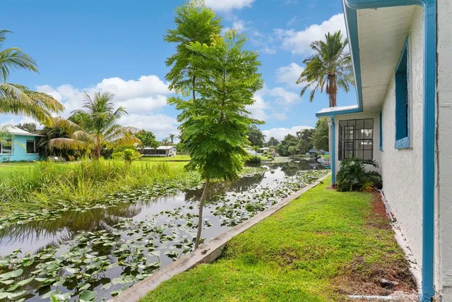 a view of a garden with a fountain