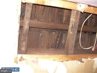 408 Tasker Street Philadelphia, PA 19148 - Photo 11 of 12 Gallery Image 11